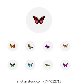 Realistic Pipevine, Summer Insect, Tropical Moth And Other Vector Elements. Set Of Butterfly Realistic Symbols Also Includes Bluewing, Butterfly, Fly Objects.