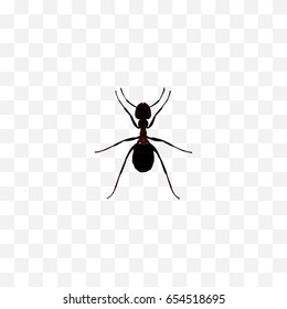 Realistic Pismire Element. Vector Illustration Of Realistic Ant Isolated On Clean Background. Can Be Used As Pismire, Ant And Emmet Symbols.