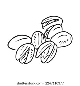 Realistic pistachios nuts in group in black isolated on white background. Hand drawn vector sketch illustration in outline vintage engraved style. Salty delicious organic food, nutshells