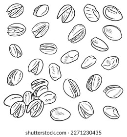 Realistic pistachios nuts in group in black isolated on white background. Hand drawn vector sketch illustration in outline vintage engraved style. Salty delicious organic food, nutshells.