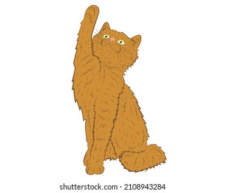 Realistic playing ginger cat. vector illustration