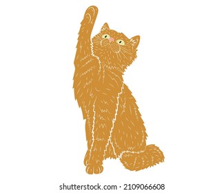 Realistic playing ginger cat. vector illustration