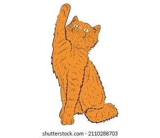 Realistic playing ginger cat. vector illustration