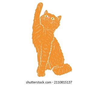 Realistic playing ginger cat. vector illustration