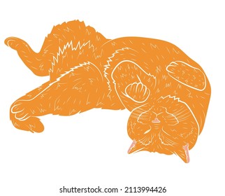 Realistic playing ginger cat. vector illustration