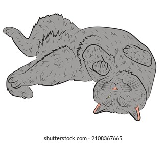 Realistic playing  grey cat. vector illustration