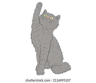 Realistic playing  grey cat. vector illustration