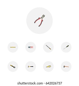 Realistic Pliers, Forceps, Claw And Other Vector Elements. Set Of Tools Realistic Symbols Also Includes Hammer, Ruler, Level Objects.