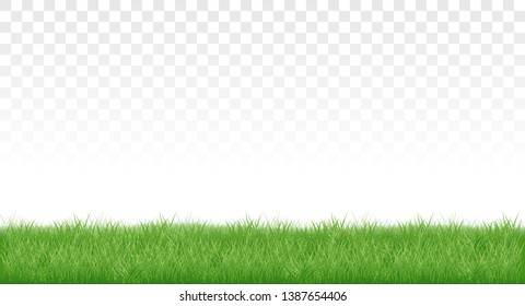 realistic plot of lush green grass. isolated on transparent background