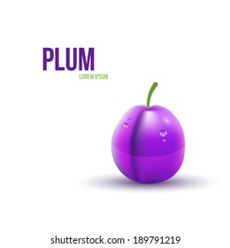 Realistic Plum isolated on white background. Vector