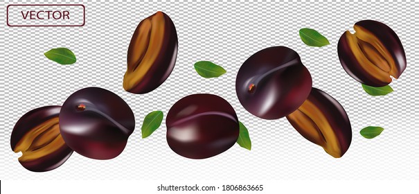 Plum realista sobre trasfondo transparente. Ciruela entera, ciruela cortada con hojas verdes. Ilustración para tu afiche, pancarta, producto natural. Ilustración vectorial 3D.