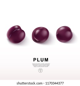 Realistic Plum on White Background : Vector Illustration