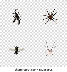Realistic Poisonous, Arachnid, Midge And Other Vector Elements. Set Of Bug Realistic Symbols Also Includes Spider, Spinner, Midge Objects.