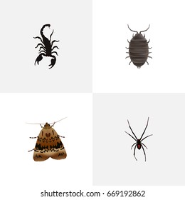 Realistic Poisonous, Butterfly, Dor And Other Vector Elements. Set Of Bug Realistic Symbols Also Includes Insect, Dor, Fly Objects.