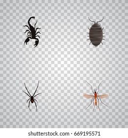 Realistic Poisonous, Gnat, Dor And Other Vector Elements. Set Of Insect Realistic Symbols Also Includes Alive, Spider, Spinner Objects.