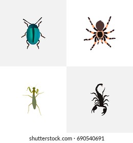 Realistic Poisonous, Grasshopper, Tarantula And Other Vector Elements. Set Of Bug Realistic Symbols Also Includes Locust, Mantis, Spider Objects.