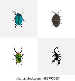 Realistic Poisonous, Insect, Bug And Other Vector Elements. Set Of Insect Realistic Symbols Also Includes Insect, Beetle, Green Objects.