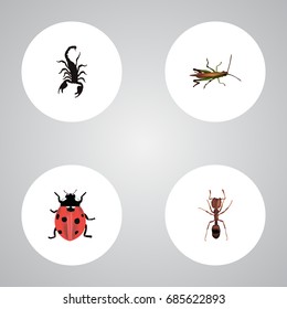 Realistic Poisonous, Ladybird, Emmet And Other Vector Elements. Set Of Bug Realistic Symbols Also Includes Poisonous, Ant, Bug Objects.