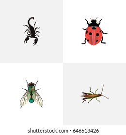Realistic Poisonous, Locust, Ladybird And Other Vector Elements. Set Of Insect Realistic Symbols Also Includes Jewel, Poisonous, Locust Objects.