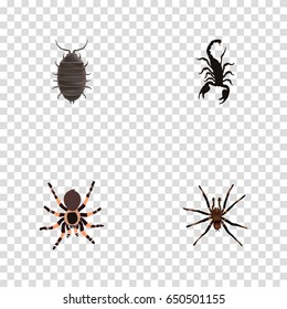 Realistic Poisonous, Tarantula, Arachnid And Other Vector Elements. Set Of Insect Realistic Symbols Also Includes Poisonous, Beetle, Arachnid Objects.