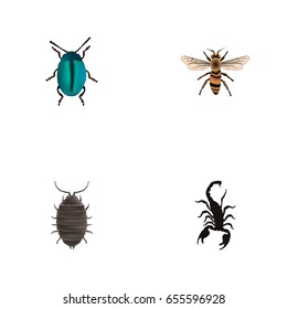 Realistic Poisonous, Wasp, Bug And Other Vector Elements. Set Of Bug Realistic Symbols Also Includes Beetle, Scorpion, Wasp Objects.