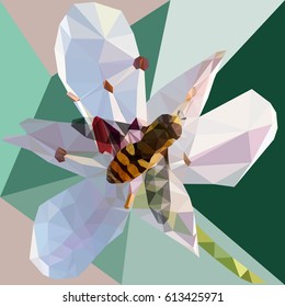  Realistic poly bee on white flower. Polygonal bee flower summer spring digital realistic leaf leaves colored high quality pattern template isolated on lowpoly background wallpaper rare unique. 