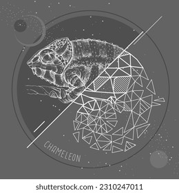 Realistic and polygonal chameleon illustration. Triangle animal vector illustration