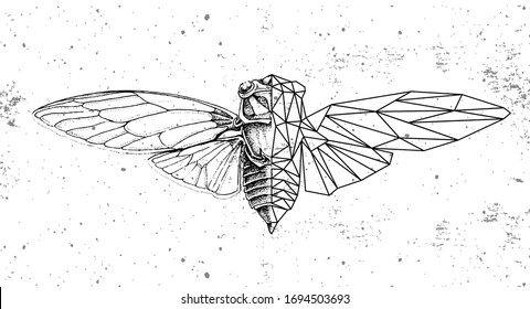 Realistic and polygonal cicada illustration. Astrology zodiac sign