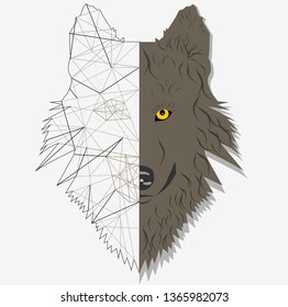 Realistic and polygonal wolf face Vector- Wolf face-Vector