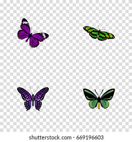 Realistic Polyommatus Icarus, Butterfly, Green Peacock And Other Vector Elements. Set Of Beauty Realistic Symbols Also Includes Green, Fly, Beautiful Objects.