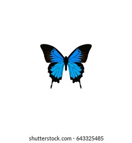 Realistic Polyommatus Icarus Element. Vector Illustration Of Realistic Common Blue Isolated On Clean Background. 