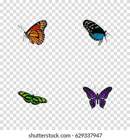 Realistic Polyommatus Icarus, Hairstreak, Green Peacock And Other Vector Elements. Set Of Beauty Realistic Symbols Also Includes Brown, Fly, Green Objects.