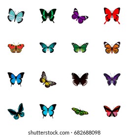 Realistic Polyommatus Icarus, Pipevine, Demophoon And Other Vector Elements. Set Of Moth Realistic Symbols Also Includes Sky, American, Butterfly Objects.