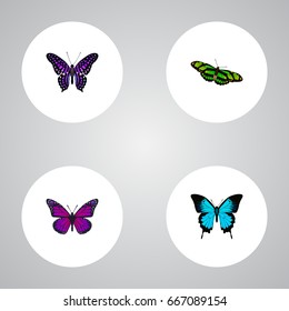 Realistic Polyommatus Icarus, Purple Monarch, Green Peacock And Other Vector Elements. Set Of Moth Realistic Symbols Also Includes Green, Fly, Blue Objects.