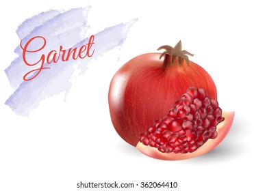 realistic pomegranate with seeds  vector illustration