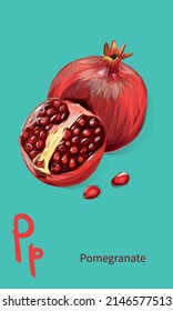 Realistic pomegranate. Vector fruit set. `Pair of pomegranates  - ruby and red. Pomegranate slice and seeds isolated.