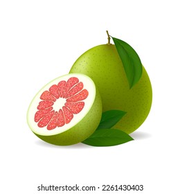 Realistic pomelo. Shaddock fruit with green rind and red pulp whole half and leaves isolated on white background, citrus maxima vector illustration