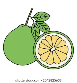 Realista pomelo. Fruta de barbatana com casca verde e polpa amarela inteira e folhas isoladas sobre fundo branco, ilustração de vetor de citrinos máximos