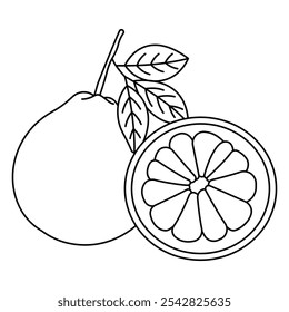 Realista pomelo. Fruta de barbatana com casca verde e polpa amarela inteira e folhas isoladas sobre fundo branco, ilustração de vetor de citrinos máximos