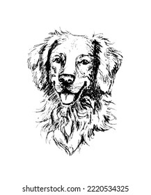 Realistic portrait of a fluffy merry golden retriever dog, looking full face, its tongue stuck out, breathing, smiling. Doodle line art for breeder business, for prints on paper, canvas, textile etc.