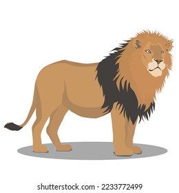 realistic portrait of a lion standing on a white background vector illustration
