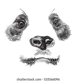 A realistic portrait of the Panda in a graphic style on a white background
