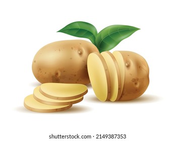 Realistic potato with green leaf. Raw whole and sliced vegetable. Simple composition. Natural product. Vegetarian cooking ingredient. Starchy tuber. Agriculture crop