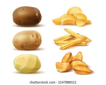 Realistic potato products. Vegetable meal. Chips and French fries. Rustic slices. Baked fast food. Whole tubers. Chopped starchy pieces. Cooking ingredient. Vector