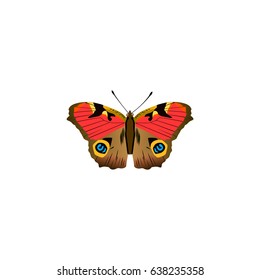 Realistic Precis Almana Element. Vector Illustration Of Realistic American Painted Lady Isolated On Clean Background. Can Be Used As Brown, Butterfly And American Symbols.