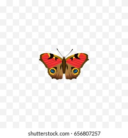 Realistic Precis Almana Element. Vector Illustration Of Realistic American Painted Lady Isolated On Clean Background. Can Be Used As Brown, Butterfly And American Symbols.