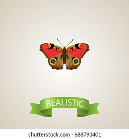 Realistic Precis Almana Element. Vector Illustration Of Realistic American Painted Lady Isolated On Clean Background. Can Be Used As Brown, Butterfly And American Symbols.