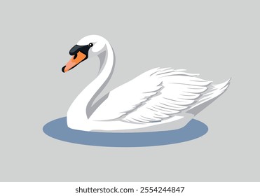 realistic pretty white swan vector illustration, animal