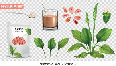 Realistic psyllium icons set with superfood flour bag on transparetn background isolated vector illustration