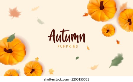 Realistic Pumpkin 3d Isolated Closeup Top View Vector Illustration